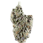 Runtz Cannabis Clone