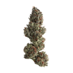 Runtz Cannabis Clone