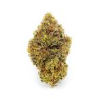 Thug Roze Cannabis Clone