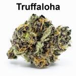 Truffaloha Cannabis Clone