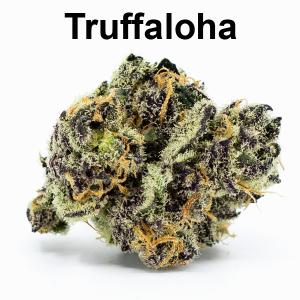 Truffaloha Cannabis Clone